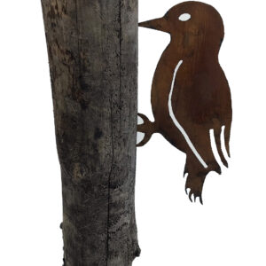 3x Dzięcioł Rdzawy Wbijany Zestaw