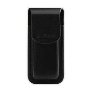 Etui dla Lotoo PAW S1 i S2 ICS-PS1-1