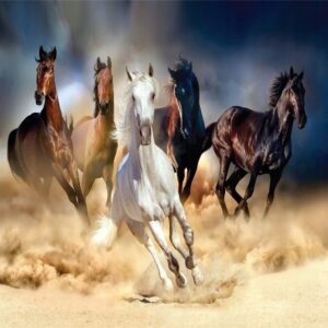 Haft diamentowy Galopujące konie mozaika diamentowa diamond painting 40x30cm DP018