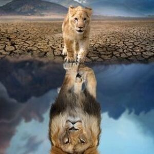 Haft diamentowy Lustro lwa mozaika diamentowa diamond painting 40x30cm DP200