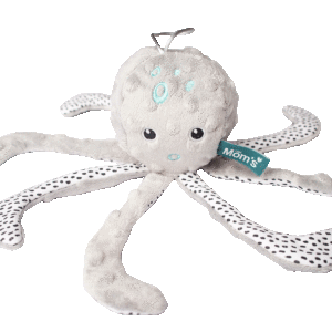 II gatunek Tari ośmiornica szara zawieszka – momscare.pl