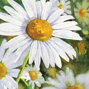 HAFT DIAMENTOWY BIAŁE KWIATY DIAMOND PAINTING MOZAIKA DIAMENTOWA ZESTAW 5D 40X30CM DP218