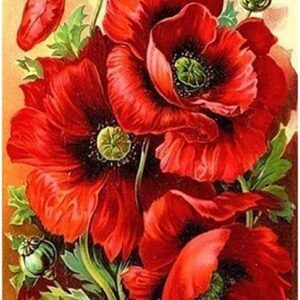Haft diamentowy duży 60x40cm Czerwone maki mozaika diamentowa diamond painting DP228
