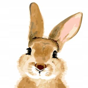 Haft diamentowy Pan królik mozaika diamentowa diamond painting 40x30cm DP085