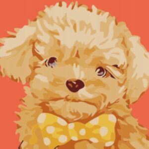 OBRAZ MALOWANIE PO NUMERACH DLA DZIECI 20X20 cm MKIDS054