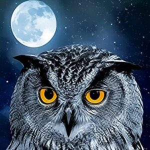 HAFT DIAMENTOWY SOWA DIAMOND PAINTING MOZAIKA DIAMENTOWA ZESTAW 5D 40X30CM DP222