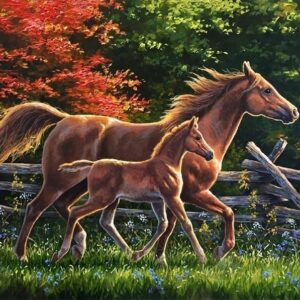 Haft diamentowy Konie na polanie mozaika diamentowa diamond painting 40x30cm DP154